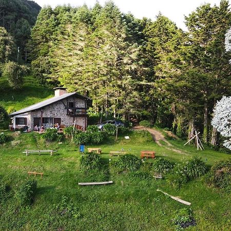 El Pital Ecolodge San Ignacio Eksteriør billede