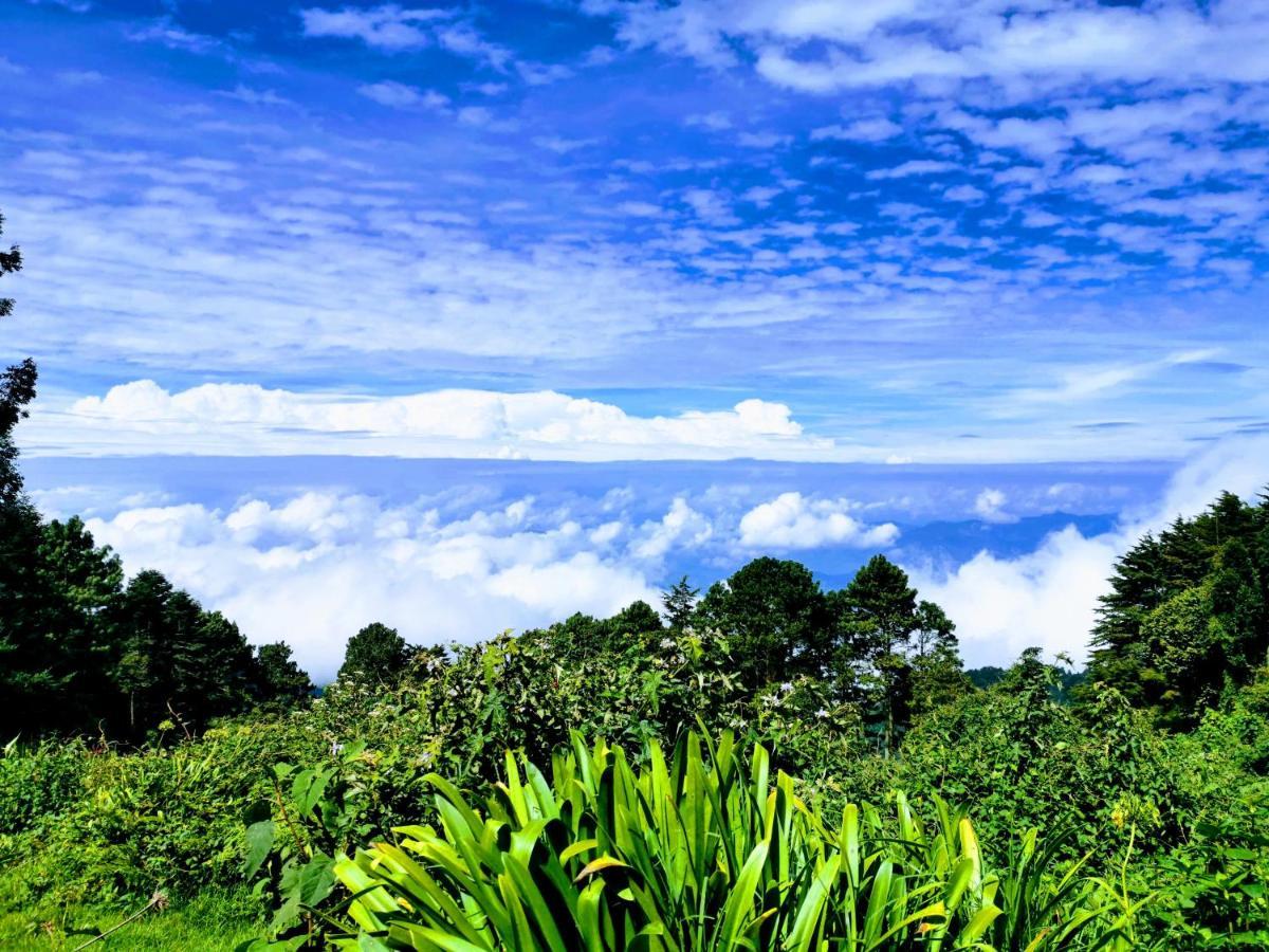 El Pital Ecolodge San Ignacio Eksteriør billede
