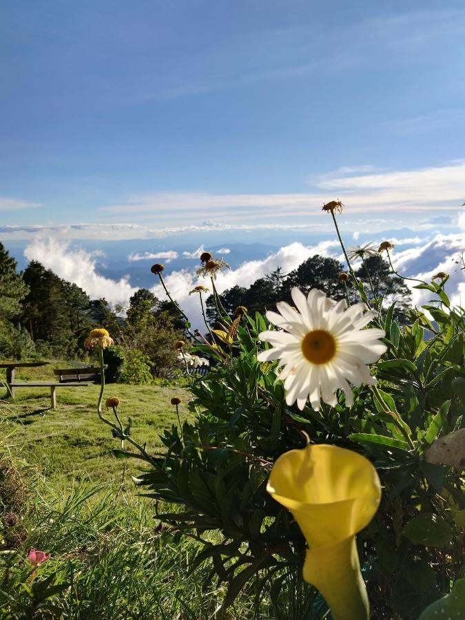 El Pital Ecolodge San Ignacio Eksteriør billede