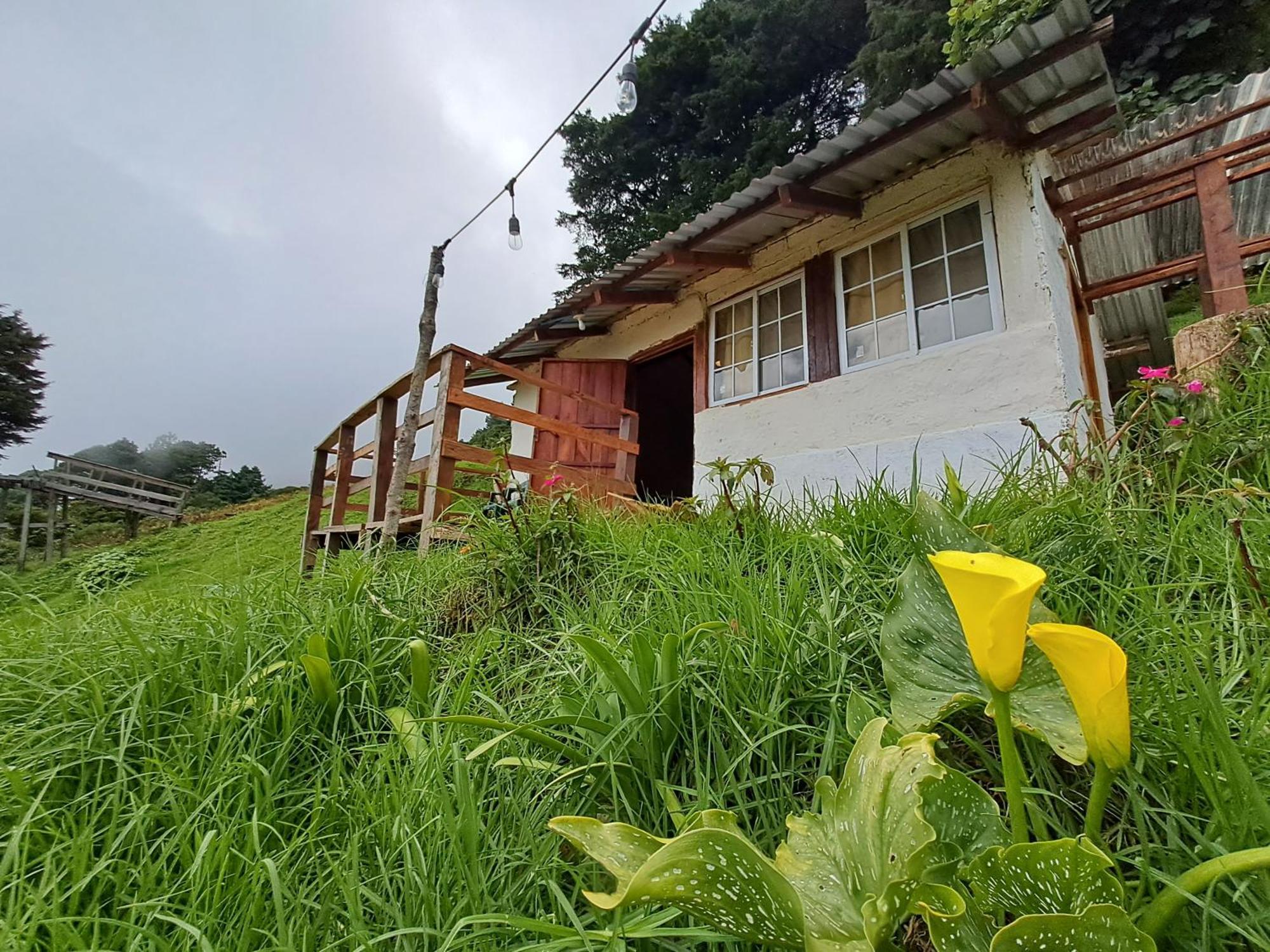El Pital Ecolodge San Ignacio Eksteriør billede